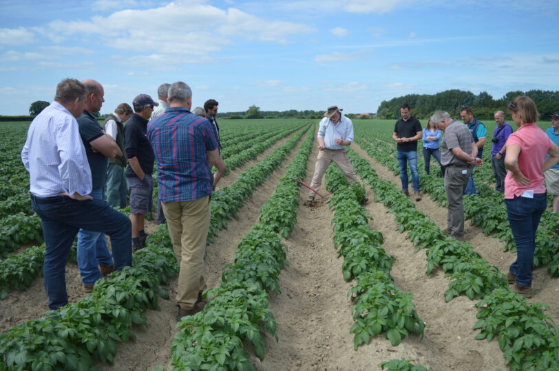 World Soil Day: Implementing regenerative farming initiatives with Sustainable Futures and UK potato growers